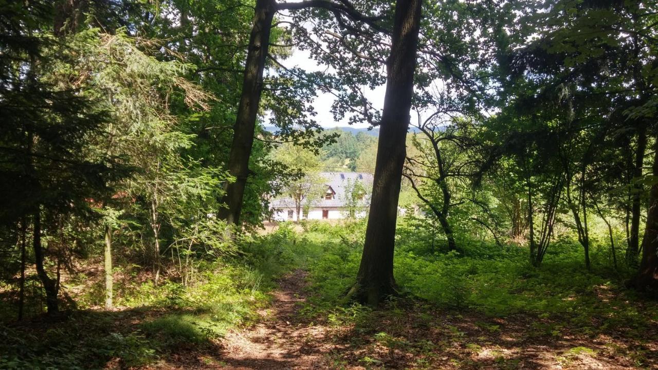 Pokoje Goscinne Art- Dworek Kudowa-Zdrój Buitenkant foto