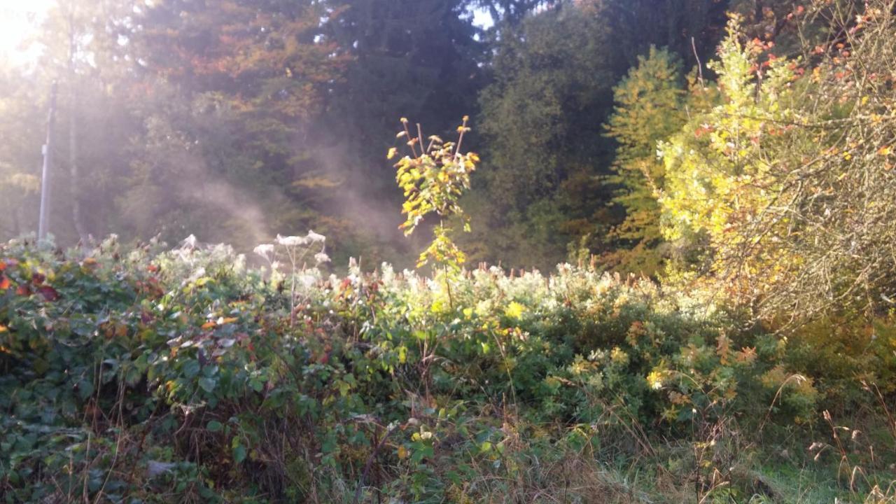 Pokoje Goscinne Art- Dworek Kudowa-Zdrój Buitenkant foto