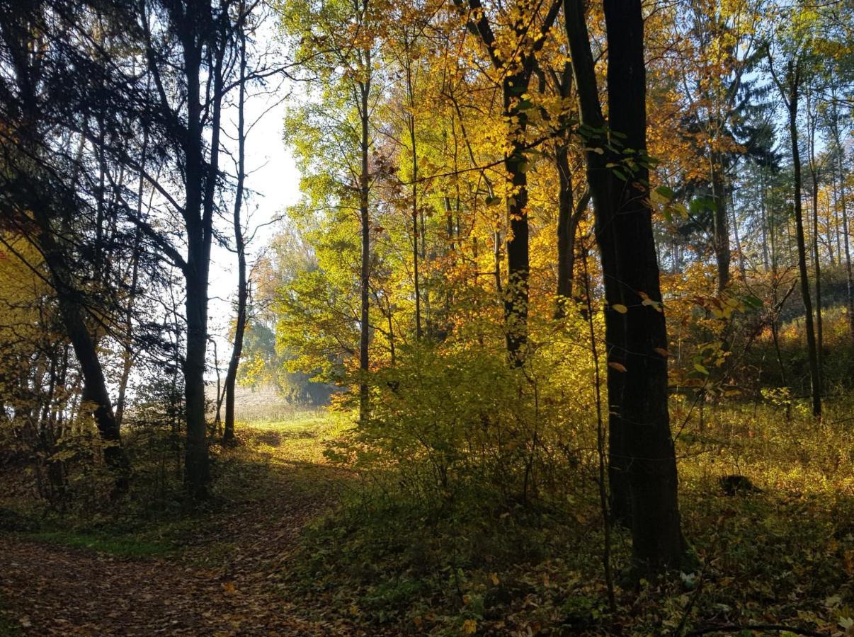Pokoje Goscinne Art- Dworek Kudowa-Zdrój Buitenkant foto