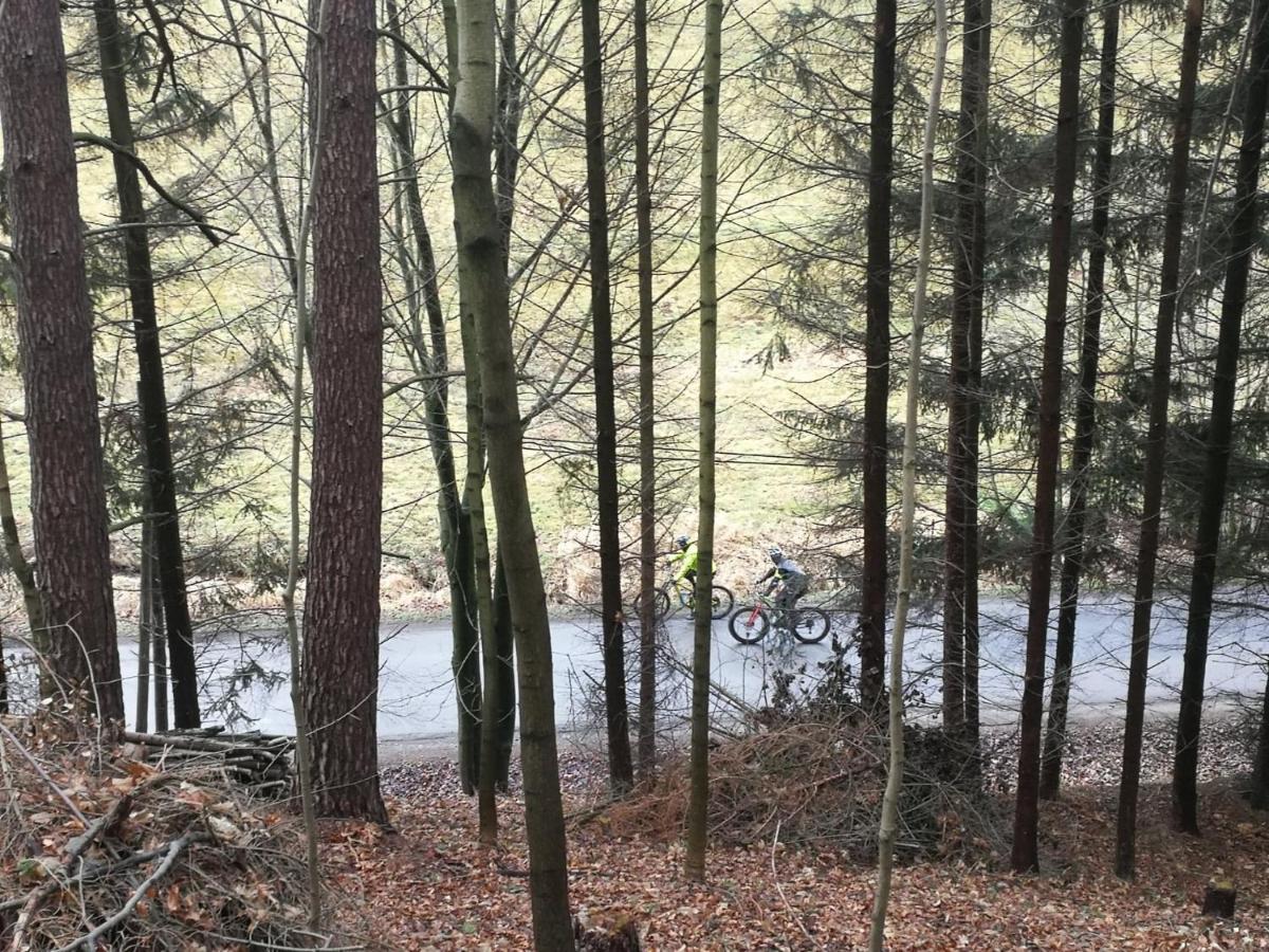 Pokoje Goscinne Art- Dworek Kudowa-Zdrój Buitenkant foto