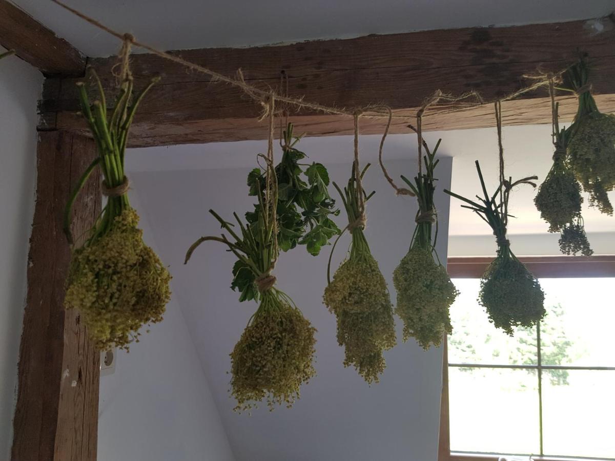 Pokoje Goscinne Art- Dworek Kudowa-Zdrój Buitenkant foto