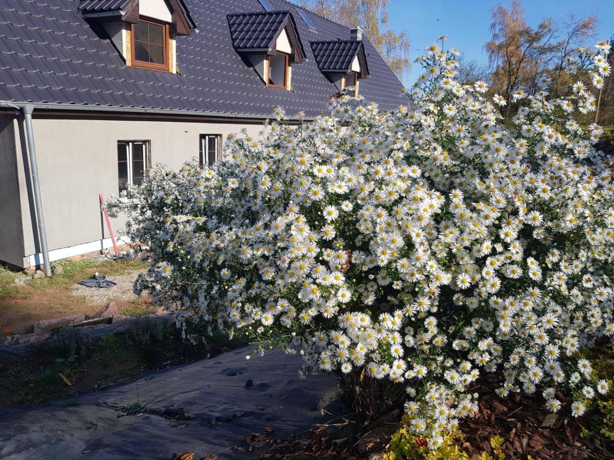 Pokoje Goscinne Art- Dworek Kudowa-Zdrój Buitenkant foto
