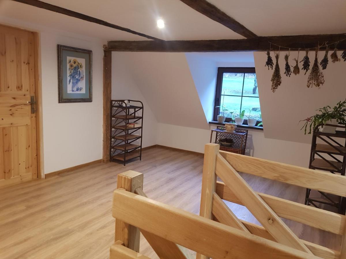 Pokoje Goscinne Art- Dworek Kudowa-Zdrój Buitenkant foto