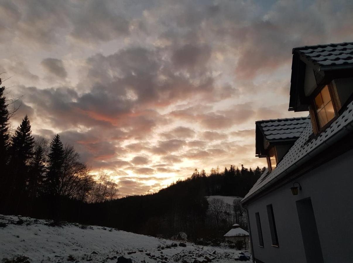 Pokoje Goscinne Art- Dworek Kudowa-Zdrój Buitenkant foto