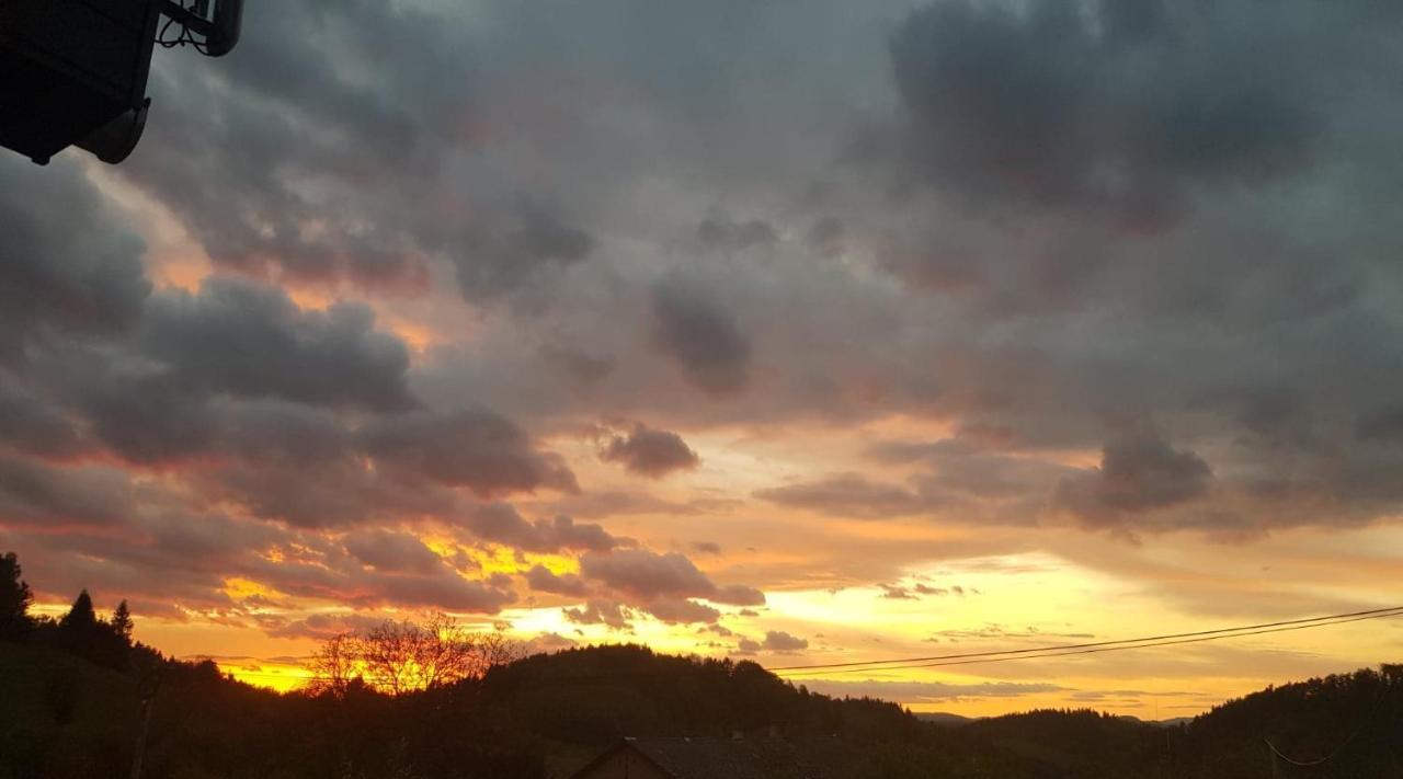 Pokoje Goscinne Art- Dworek Kudowa-Zdrój Buitenkant foto