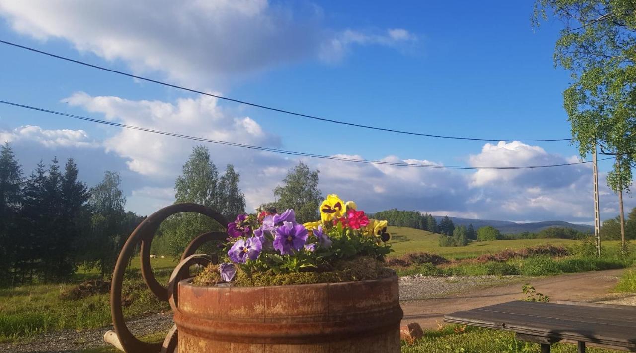 Pokoje Goscinne Art- Dworek Kudowa-Zdrój Buitenkant foto