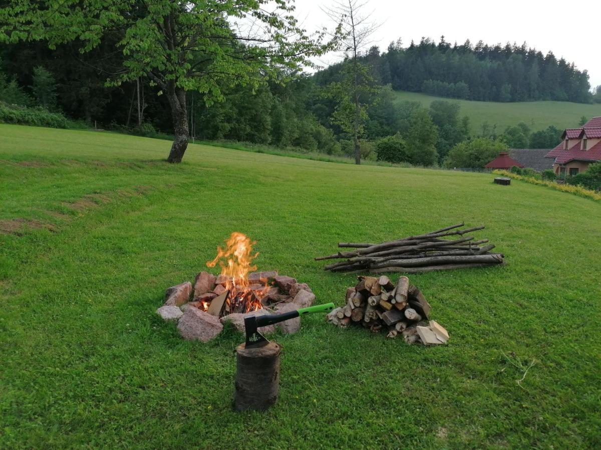 Pokoje Goscinne Art- Dworek Kudowa-Zdrój Buitenkant foto