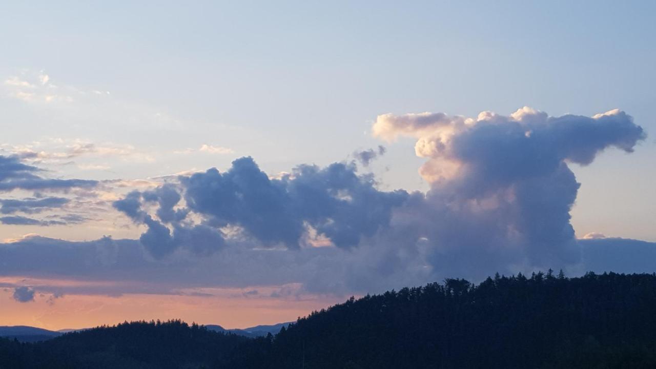 Pokoje Goscinne Art- Dworek Kudowa-Zdrój Buitenkant foto