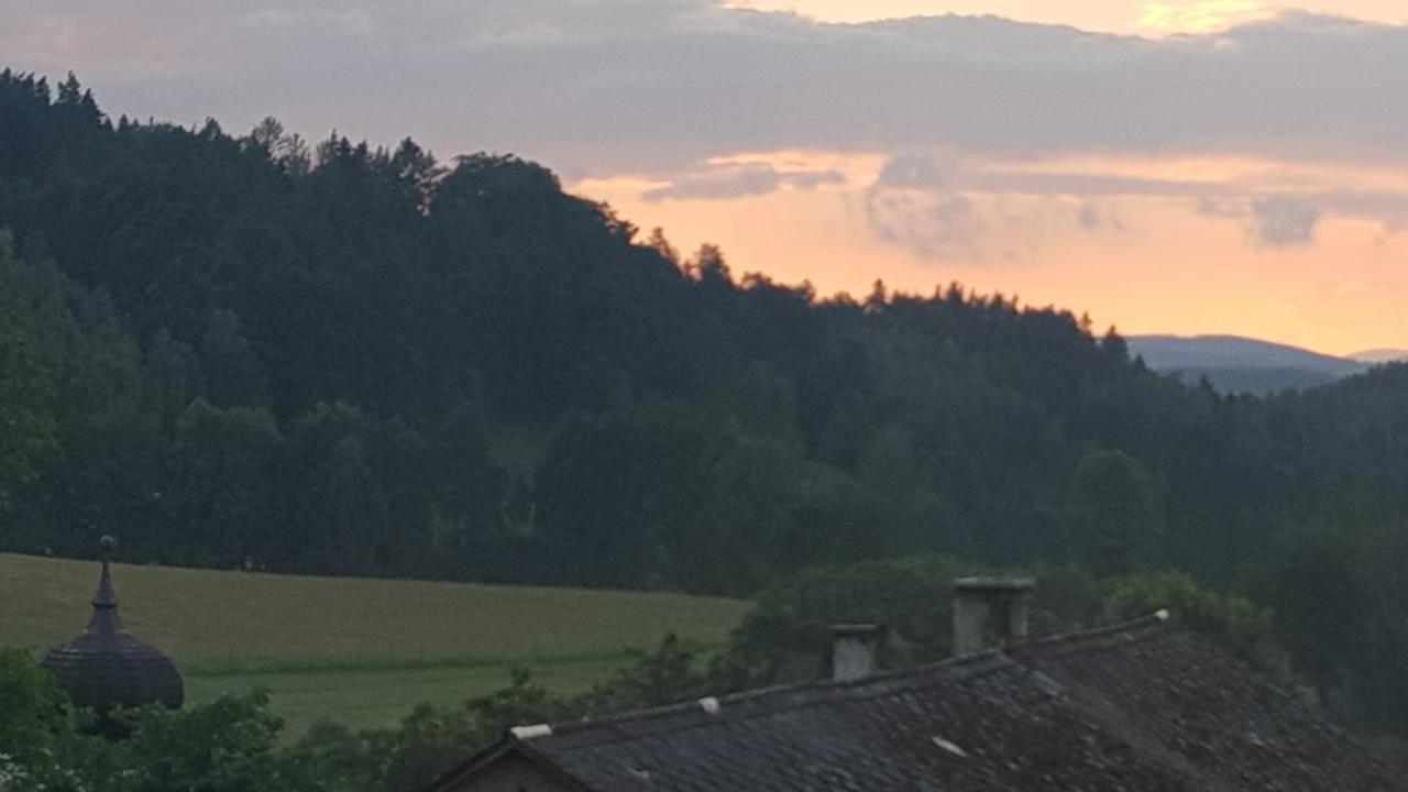 Pokoje Goscinne Art- Dworek Kudowa-Zdrój Buitenkant foto