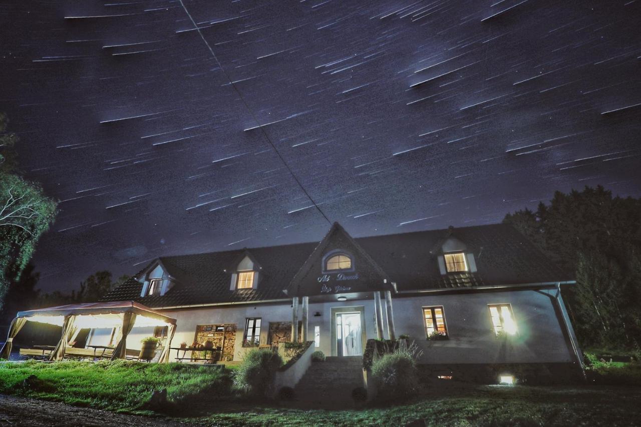 Pokoje Goscinne Art- Dworek Kudowa-Zdrój Buitenkant foto