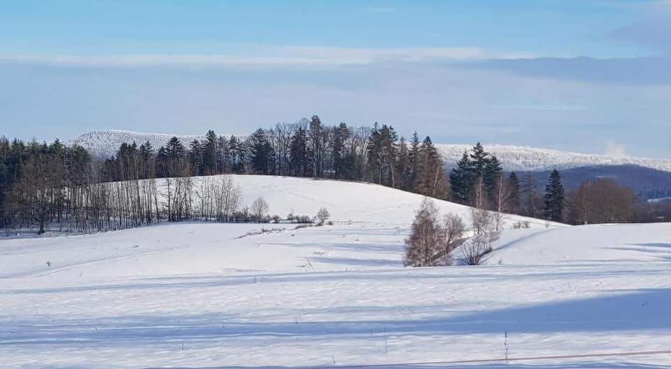 Pokoje Goscinne Art- Dworek Kudowa-Zdrój Buitenkant foto