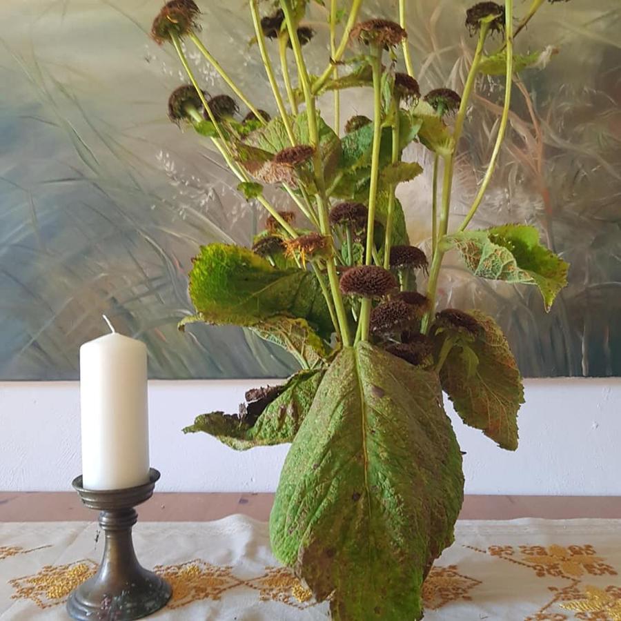 Pokoje Goscinne Art- Dworek Kudowa-Zdrój Buitenkant foto